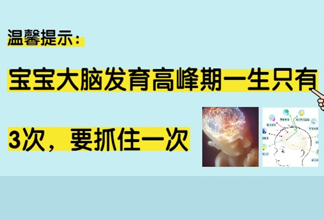 哈佛大學(xué)研究發(fā)現(xiàn)：寶寶大腦發(fā)育高峰期一生只有3次，要抓住一次